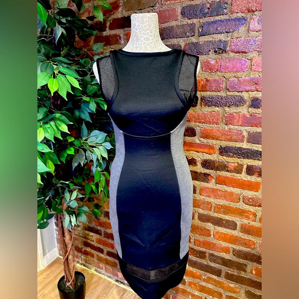 Rachel Roy Scuba & mess dress.